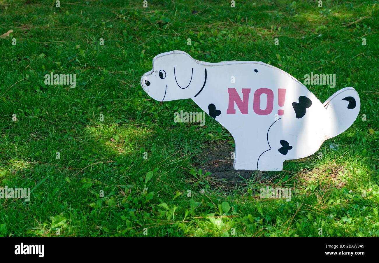Prohibition of dog walking on green grass of lawn Stock Photo