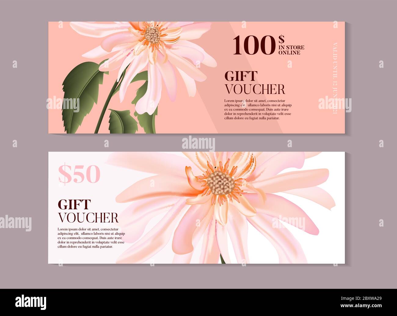 Aggregate 149+ spa gift vouchers sussex latest kidsdream.edu.vn