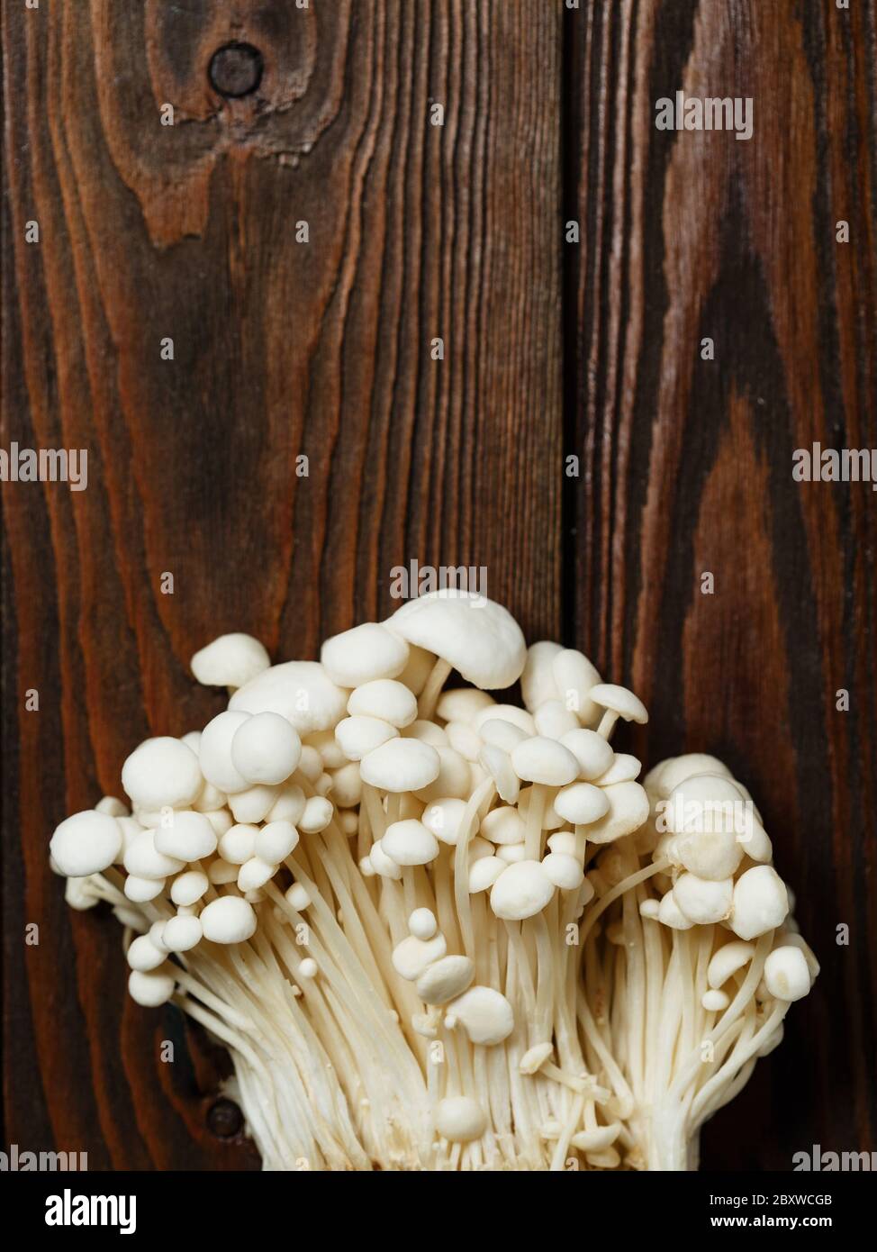 Enoki Enokitake Flammulina Velutipes Edible Mushroom Popular In Japanese Cuisine Heap Of Little White Mushrooms Served On Wooden Brown Background Stock Photo Alamy Enoki Enokitake Flammulina Velutipes Edible Mushroom Popular In Japanese Cuisine Heap Of Little White Mushrooms Served On Wooden Brown Background Stock Photo Alamy