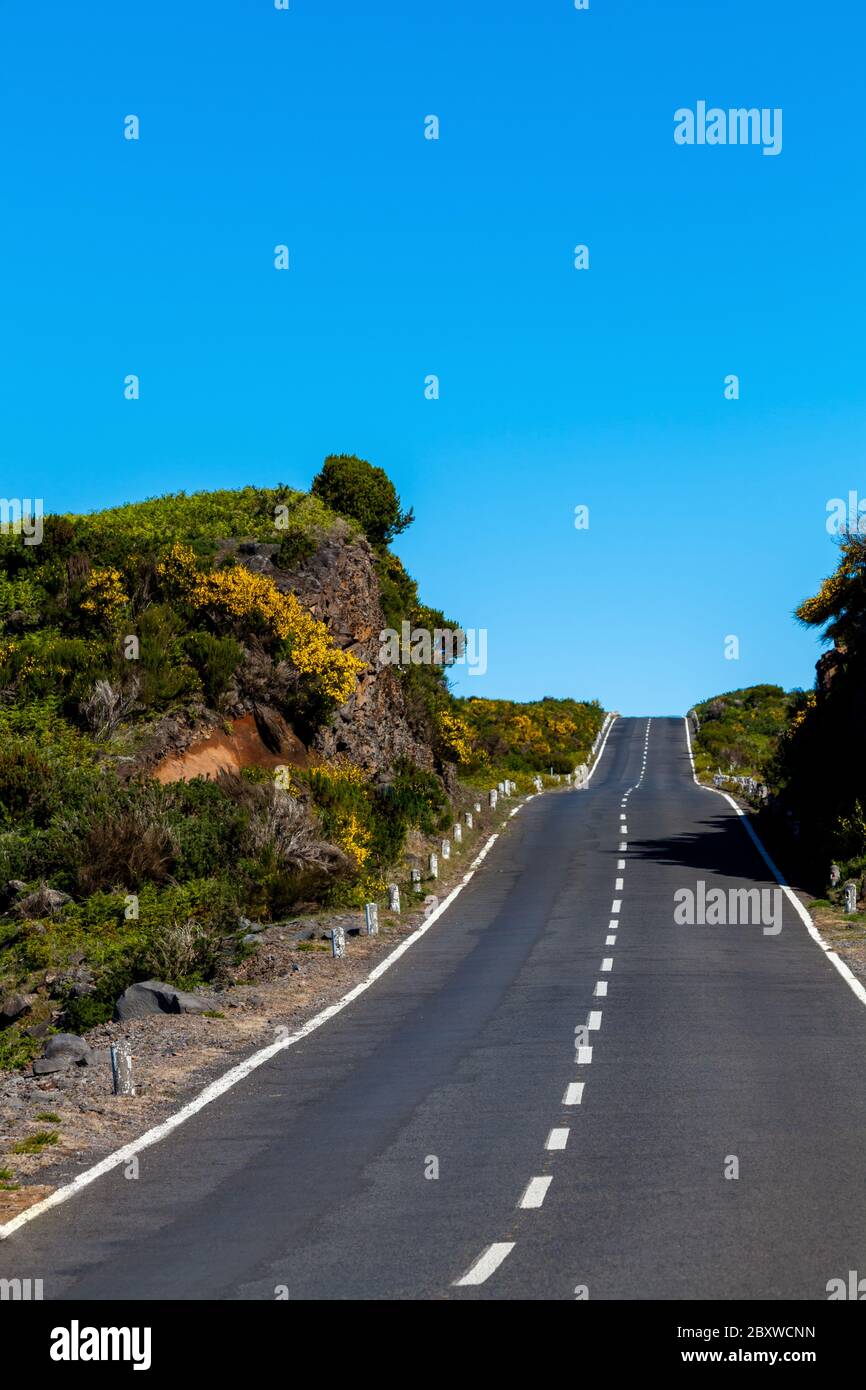 asphalt road through the green field and clouds on blue sky Stock Photo ...