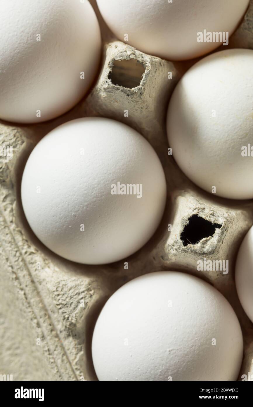 Raw Organic White Eggs Ready to Cook Stock Photo