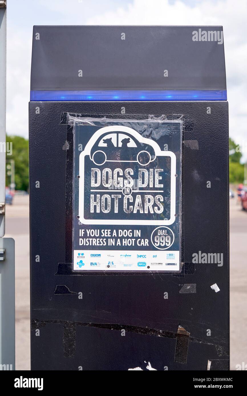 Poster advising people of the dangers of leaving a dog in a hot car Stock Photo