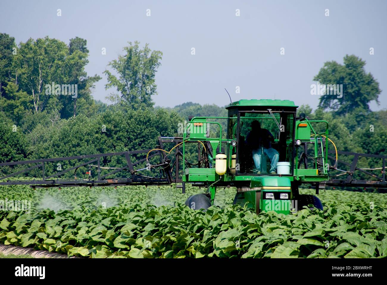 tobacco sprayer Tobacco sprayer hi-res stock photography and images