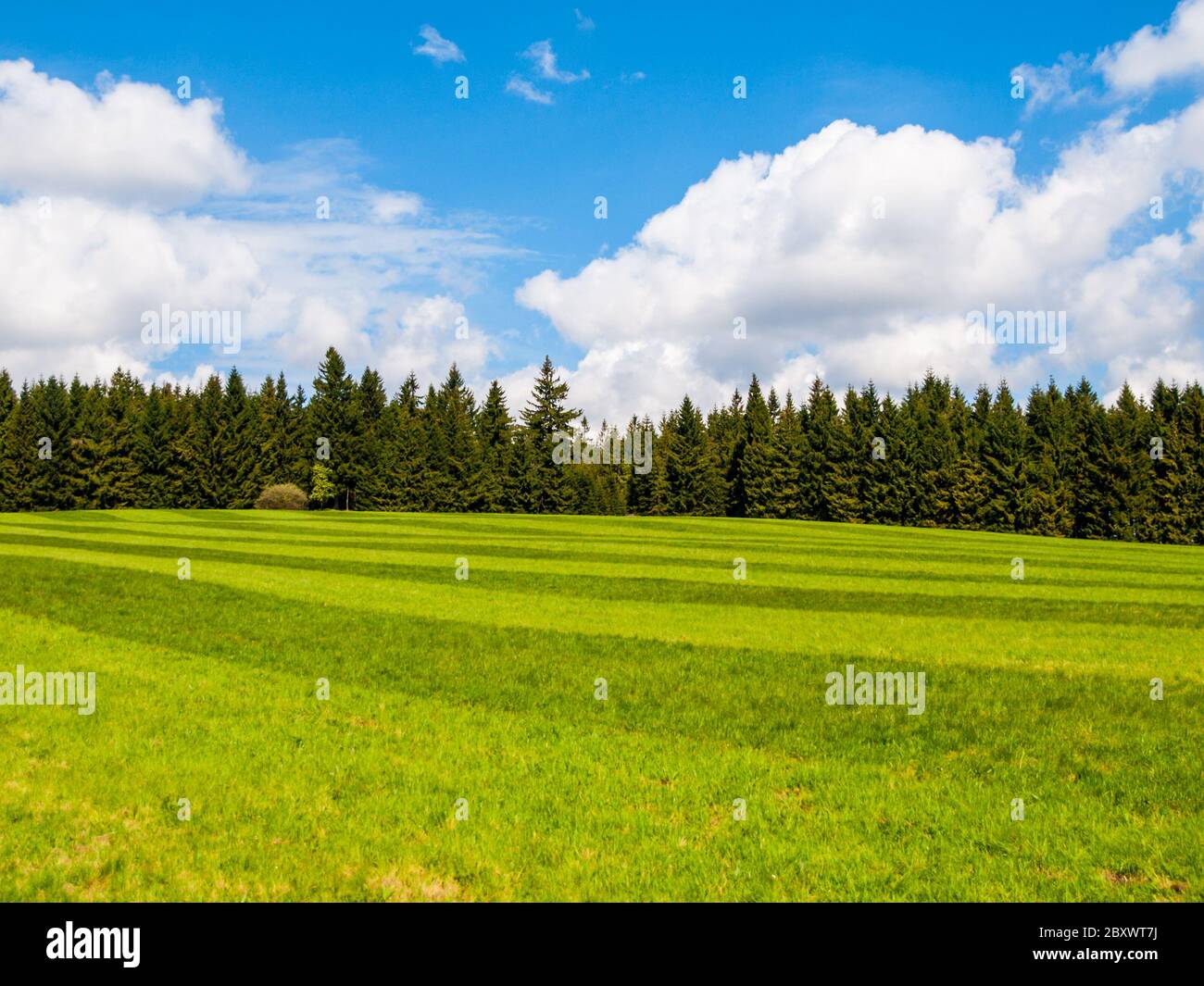 Green sunny hi-res stock photography and images - Alamy