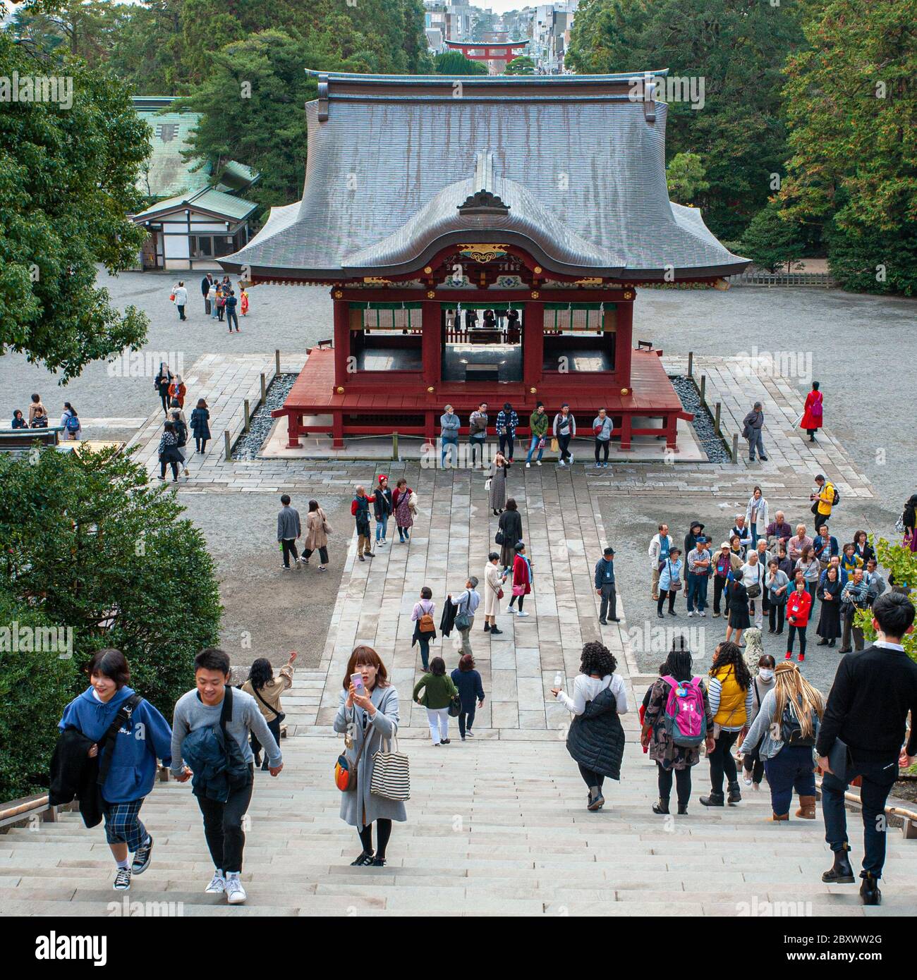 Visitors walking at  the Tsurugaoka Hachimangū temple in Kamakura, Japan Stock Photo