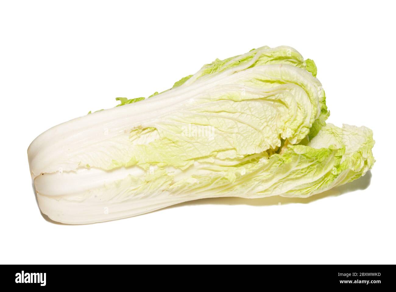 Pekingese cabbage isolated on white. Stock Photo