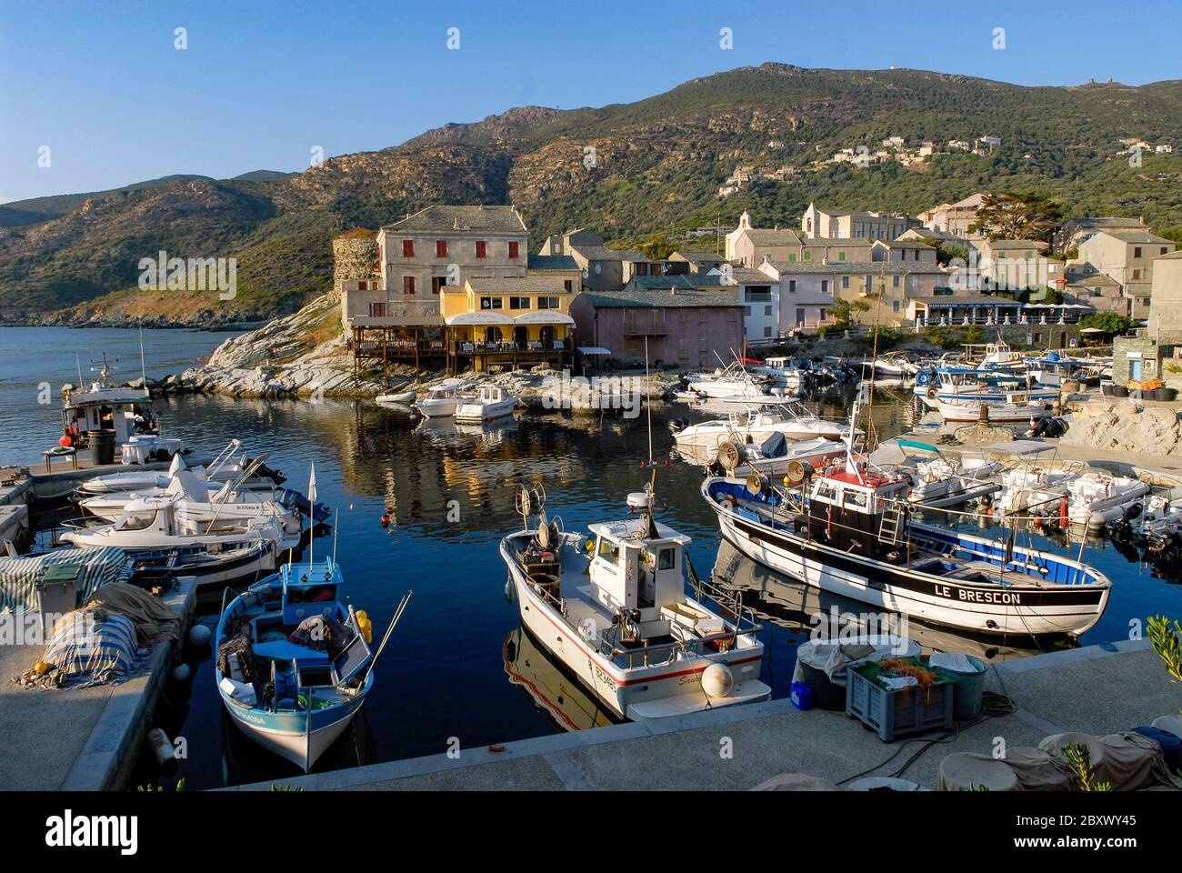 Centuri harbor on the corsican cape in the North Corsica, France Stock ...