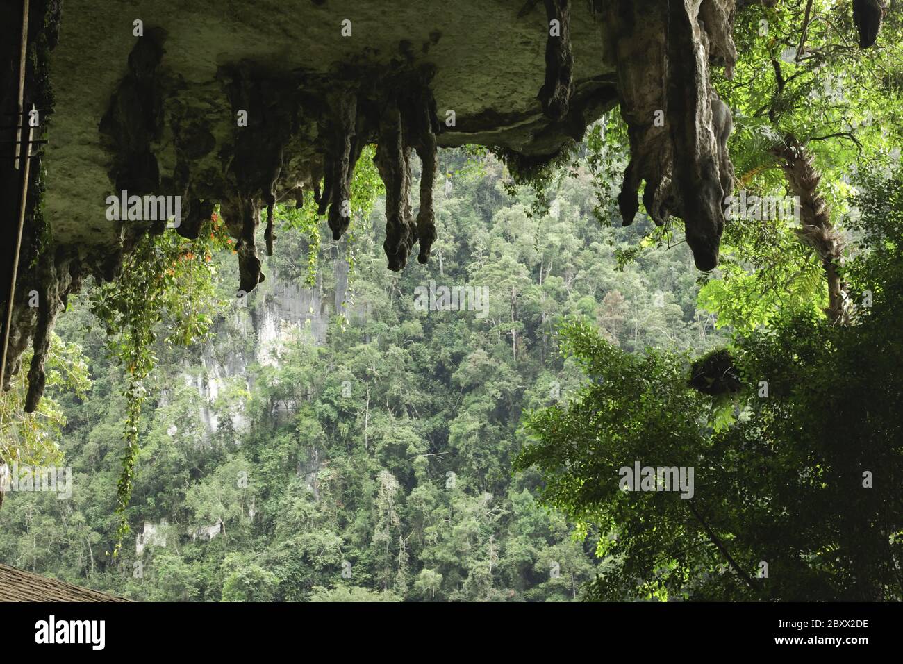 Niah Caves-Malaysia Stock Photo