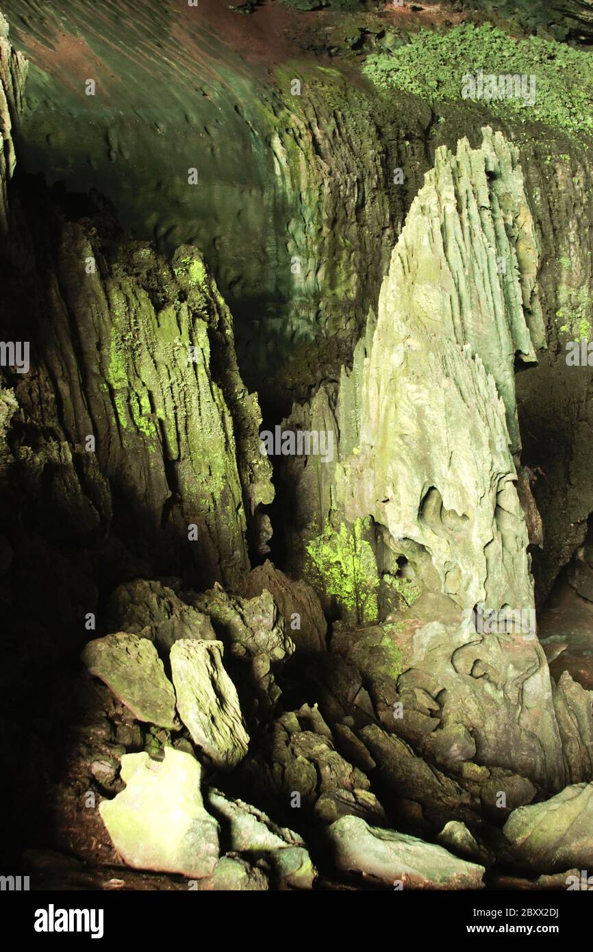 Niah Caves-Malaysia Stock Photo