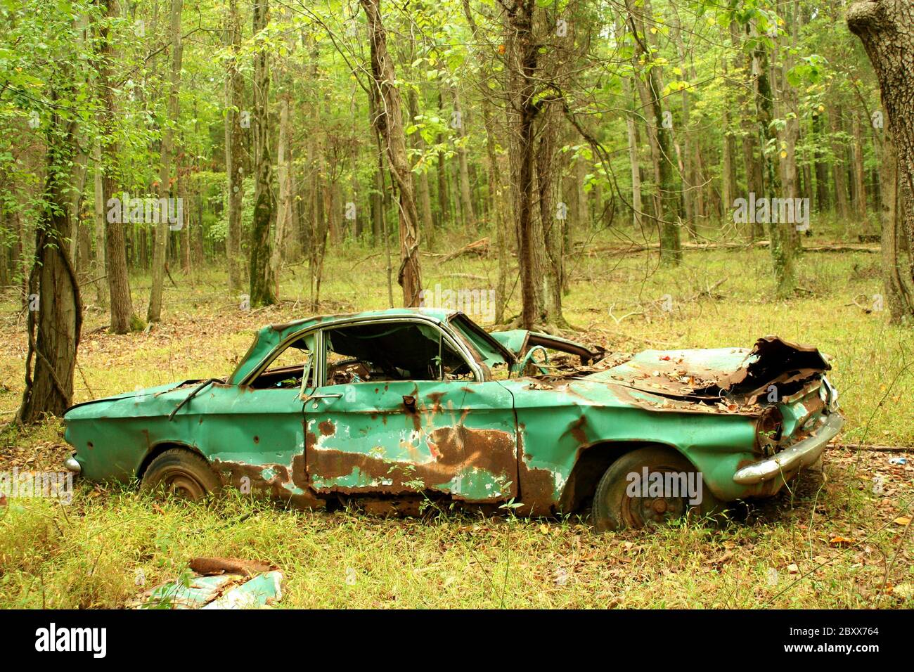 Abandoned car in woods hi-res stock photography and images - Alamy