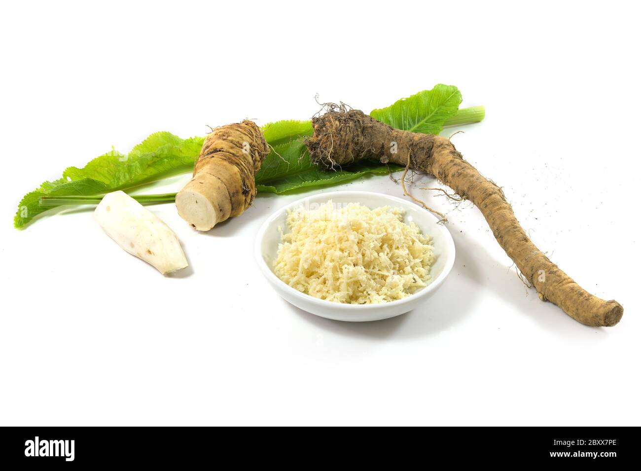 Grated horseradish in a small bowl, fresh roots and young leaves
