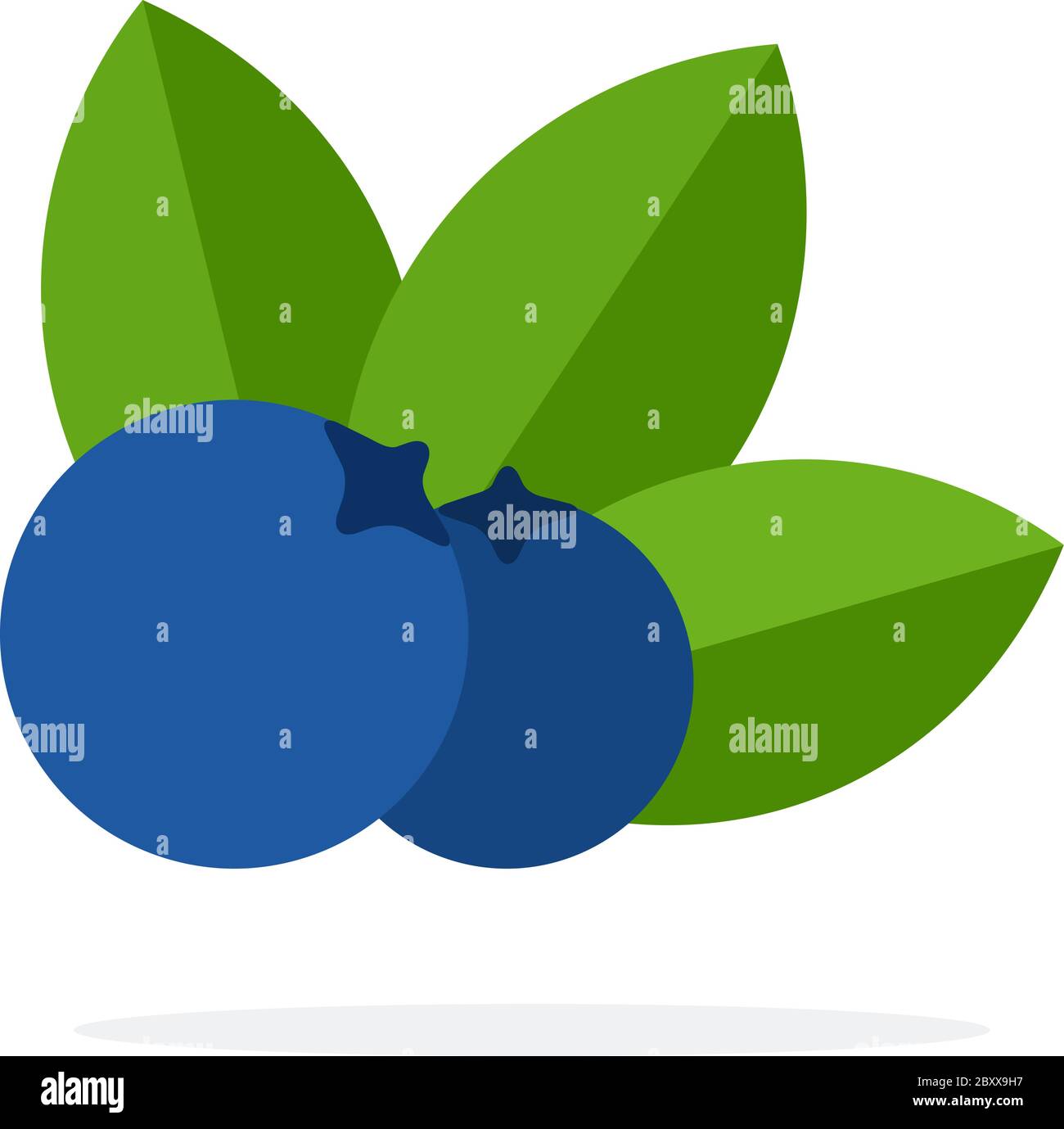 Two berries blueberry with leaves vector flat material design isolated object on white background. Stock Vector