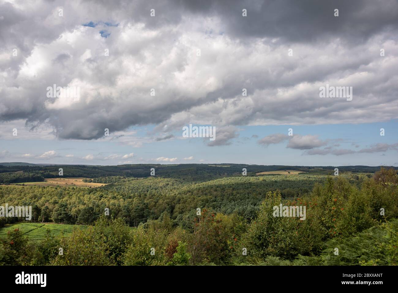 Overlooking Cropton Forest from Cawthorn Roman Camp, North Yorkshire, UK Stock Photo