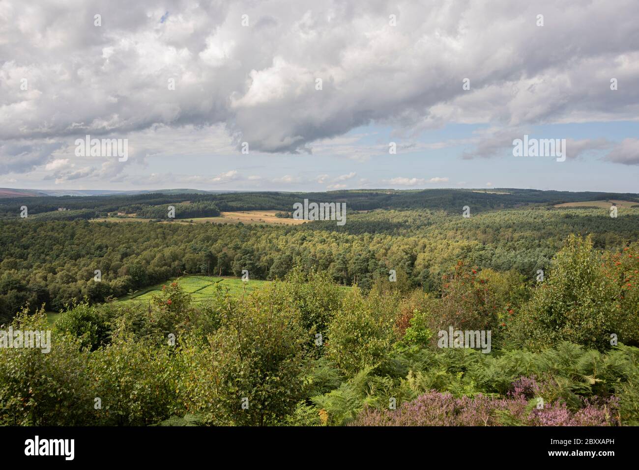 Overlooking Cropton Forest from Cawthorn Roman Camp, North Yorkshire, UK Stock Photo