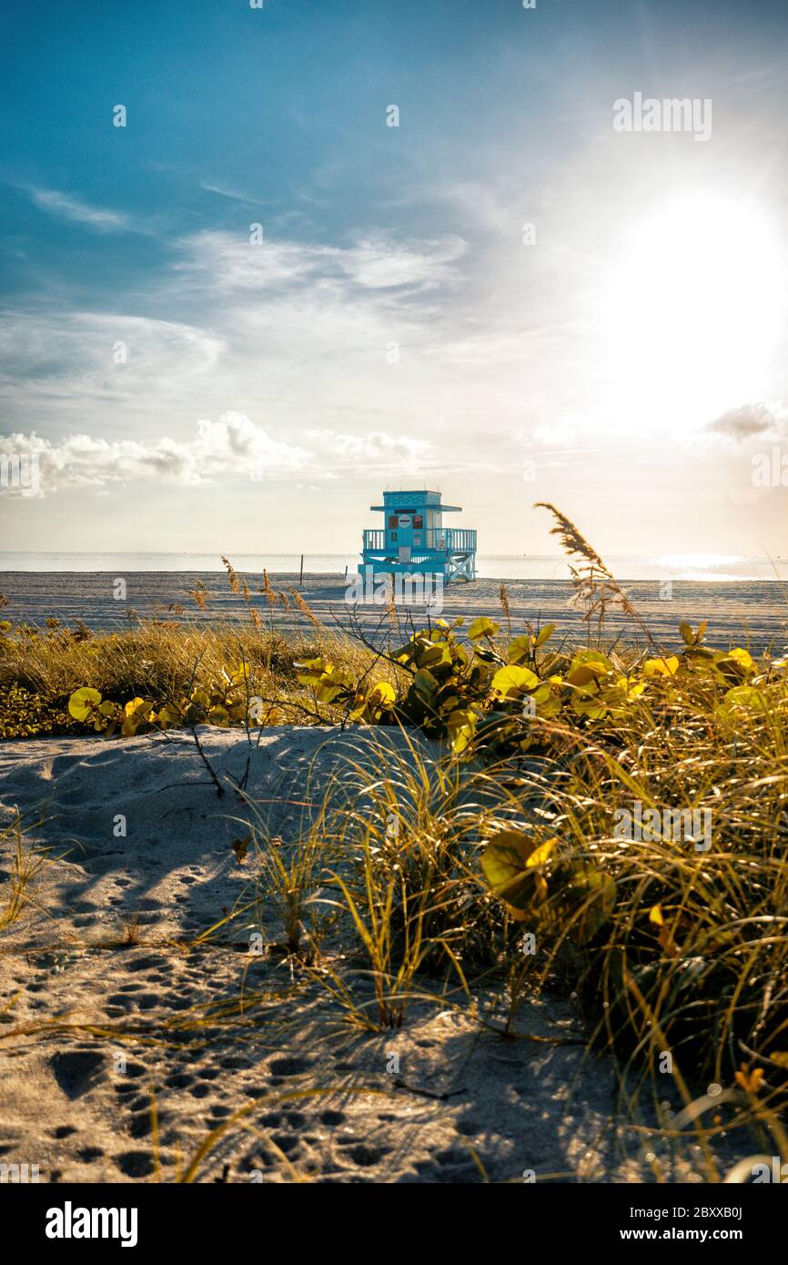 Beautiful Morning in Miami Beach Stock Photo