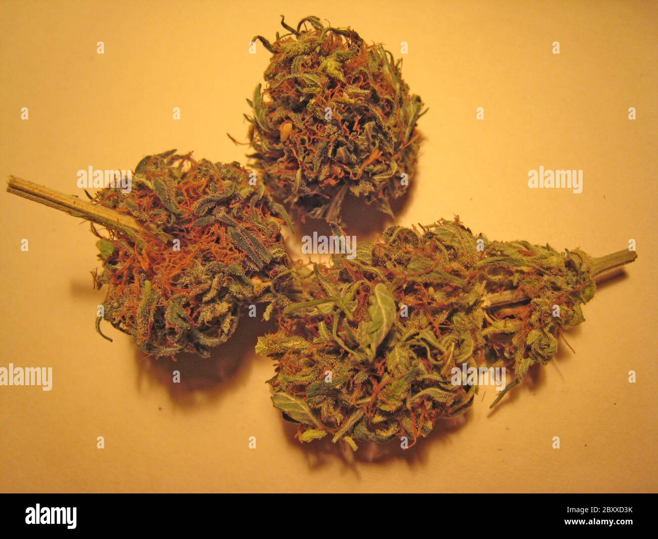 Cannabis pot vector icon hi-res stock photography and images - Page 8 -  Alamy
