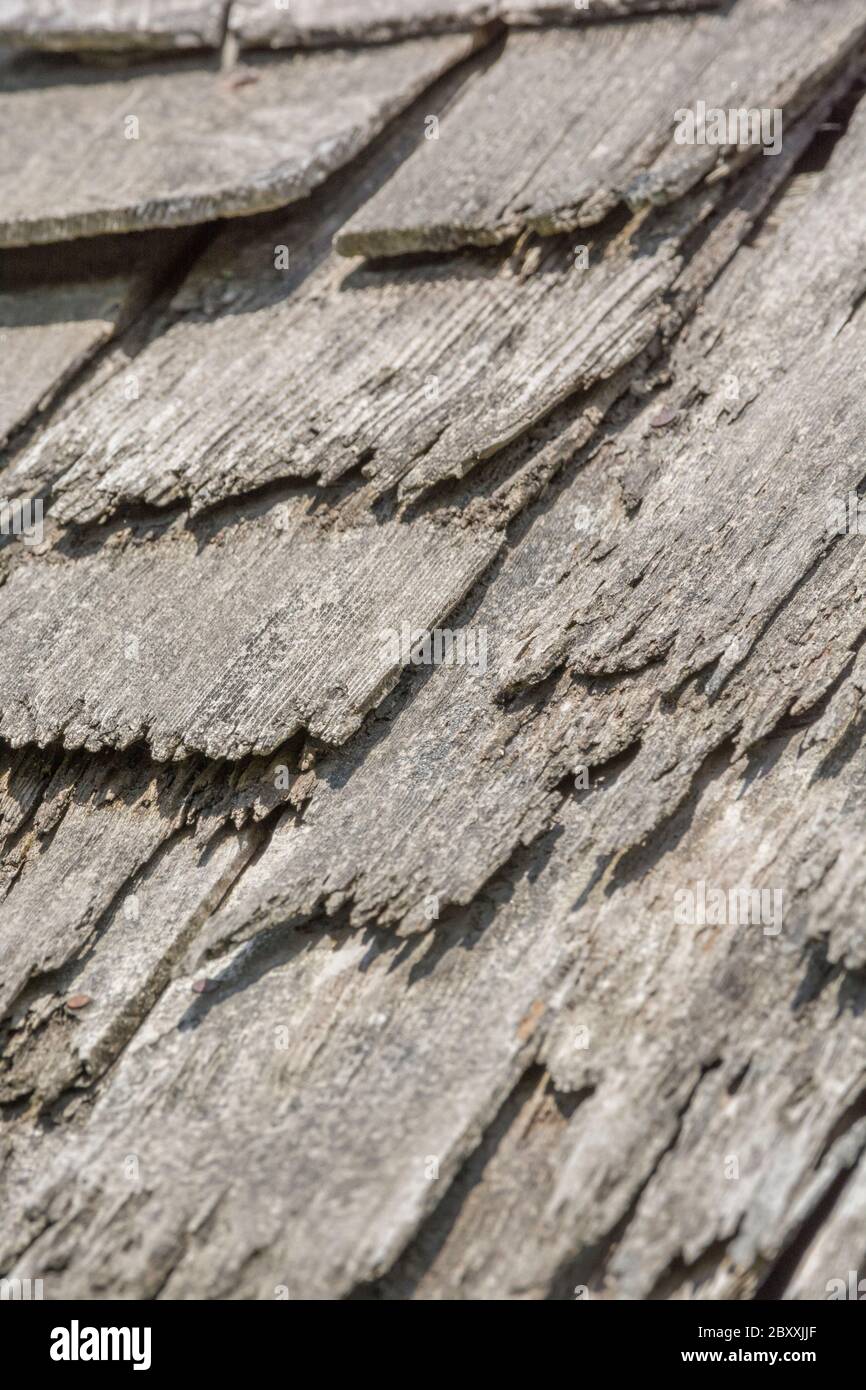 Wind and rain damaged old wood shingle / wood shake roof in poor repair, & needs replacing. Metaphor mental illness, flaky person, got a loose slate. Stock Photo