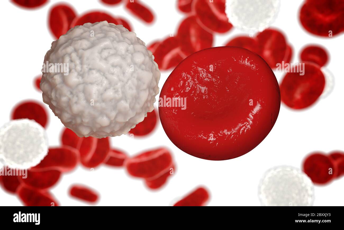 white blood cell, leucocyte. 3d render Stock Photo