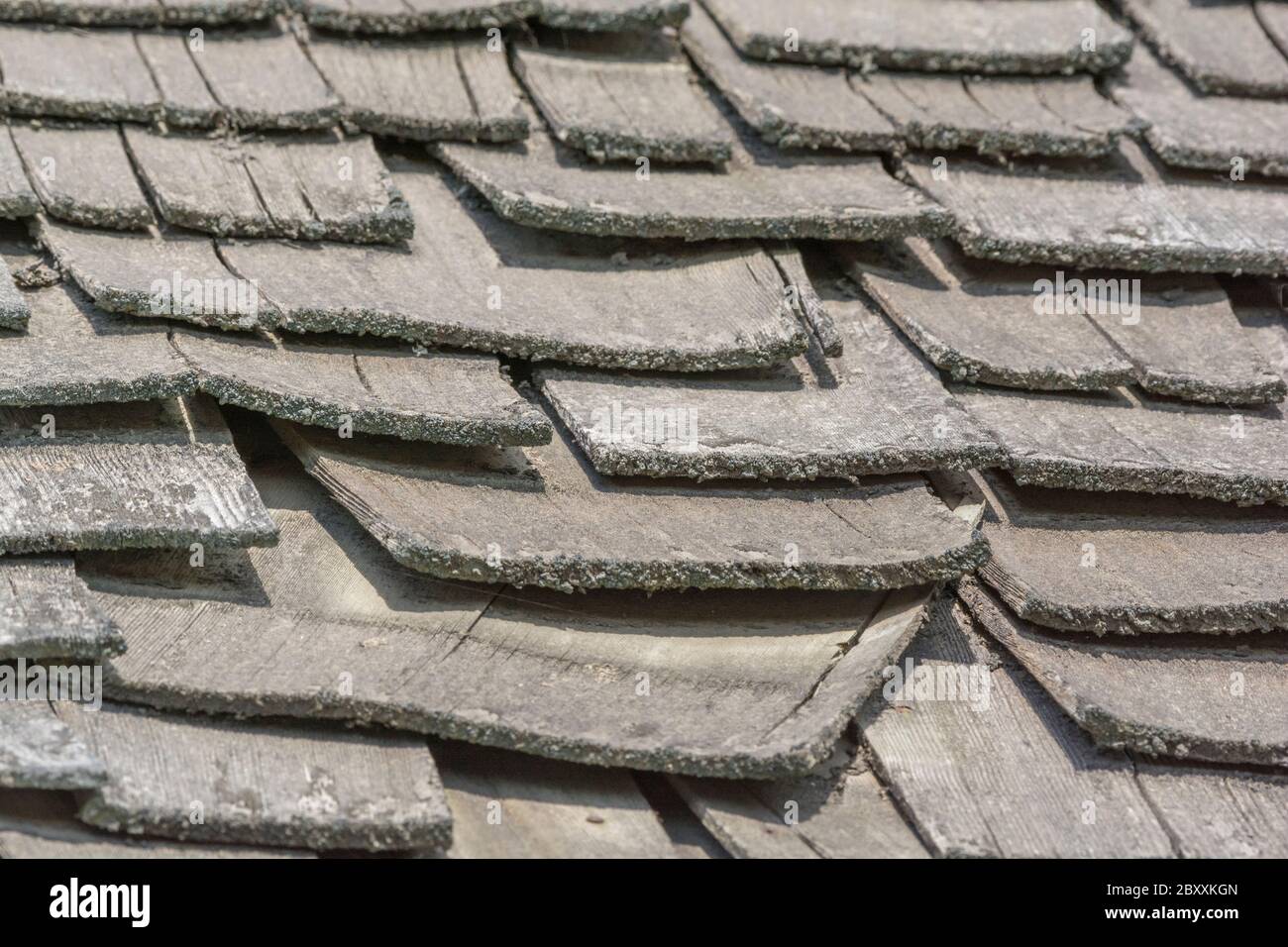 Wind and rain damaged old wood shingle / wood shake roof in poor repair