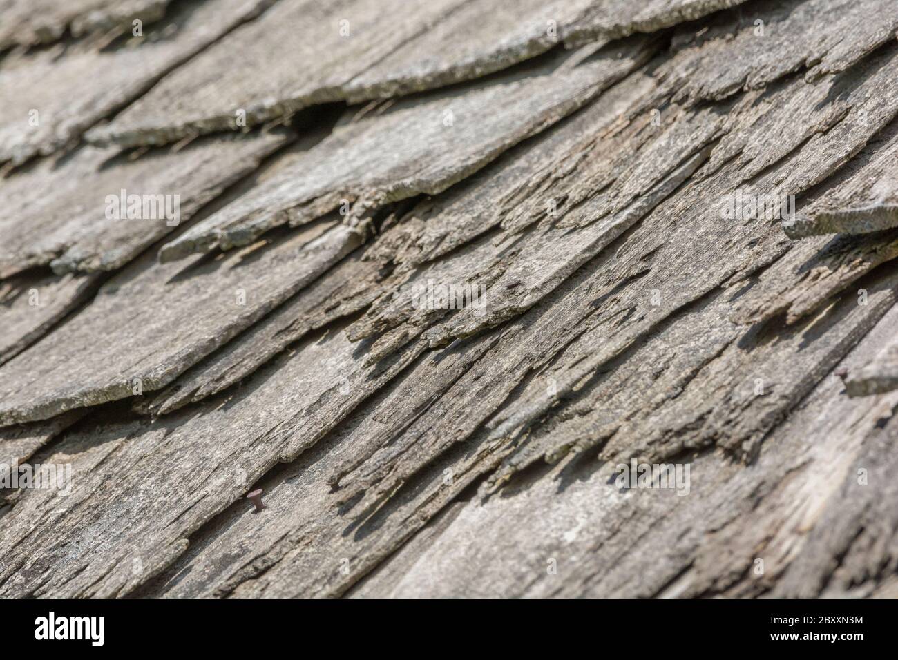Wind and rain damaged old wood shingle / wood shake roof in poor repair, & needs replacing. Metaphor mental illness, flaky person, got a loose slate. Stock Photo