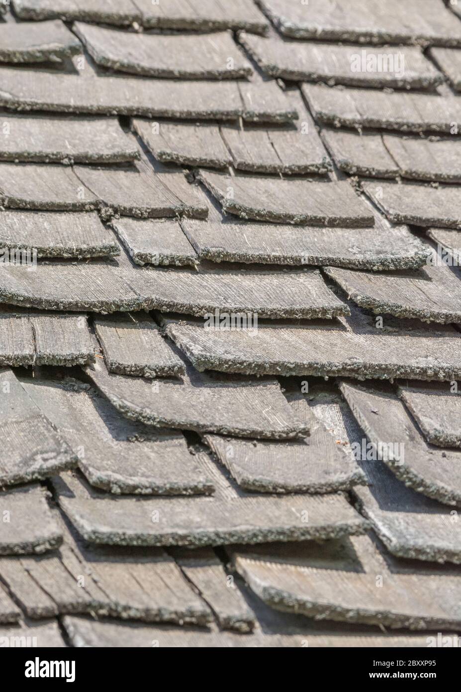 Wind and rain damaged old wood shingle / wood shake roof in poor repair, poor condition, & needs replacing. Idiom got a slate loose, & mental illness. Stock Photo