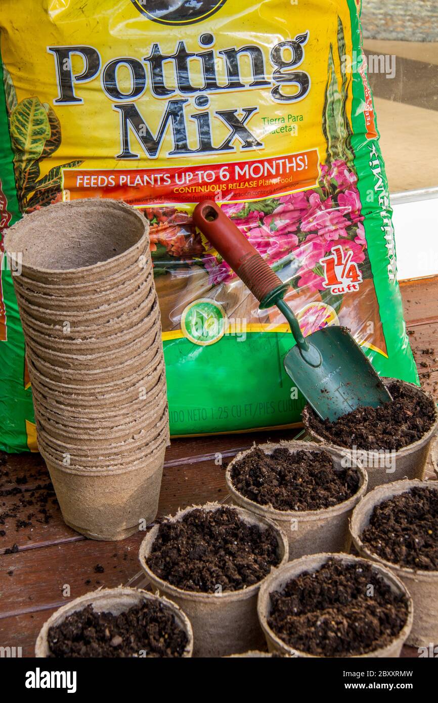 Prepare for transplanting or planting seeds directly by using