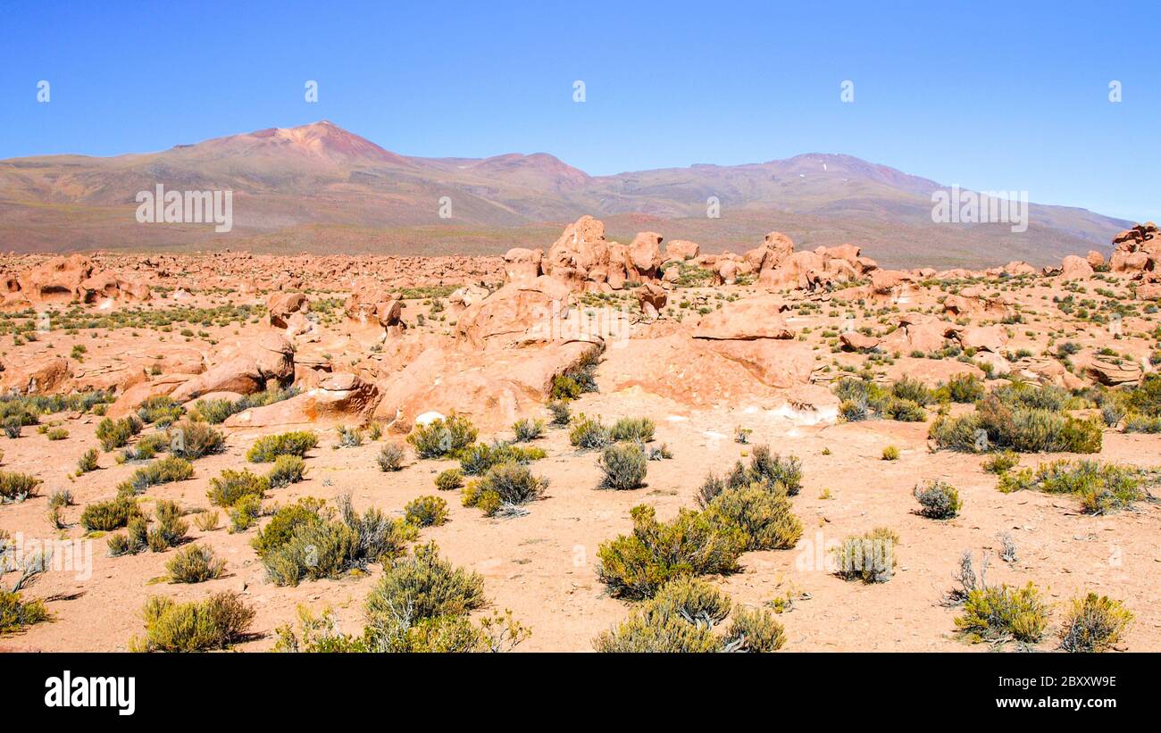 Landscape of Altiplano with rocks, white lagoon and peaks. Sunny clear ...