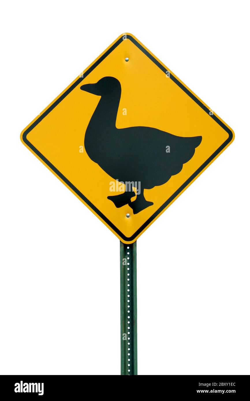 Duck crossing sign Stock Photo