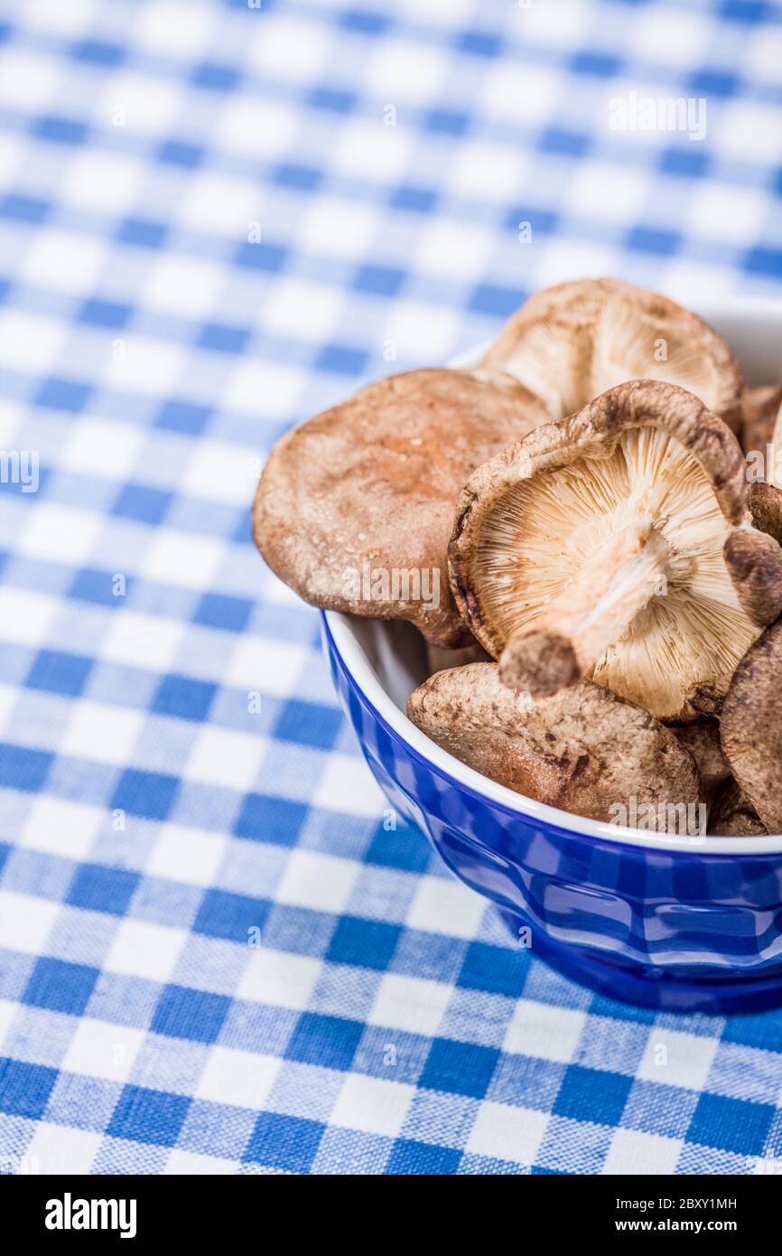 Blue bowl of raw Shiitake mushrooms sitting on a blue and white checkered tablecloth in a studio setting Stock Photo