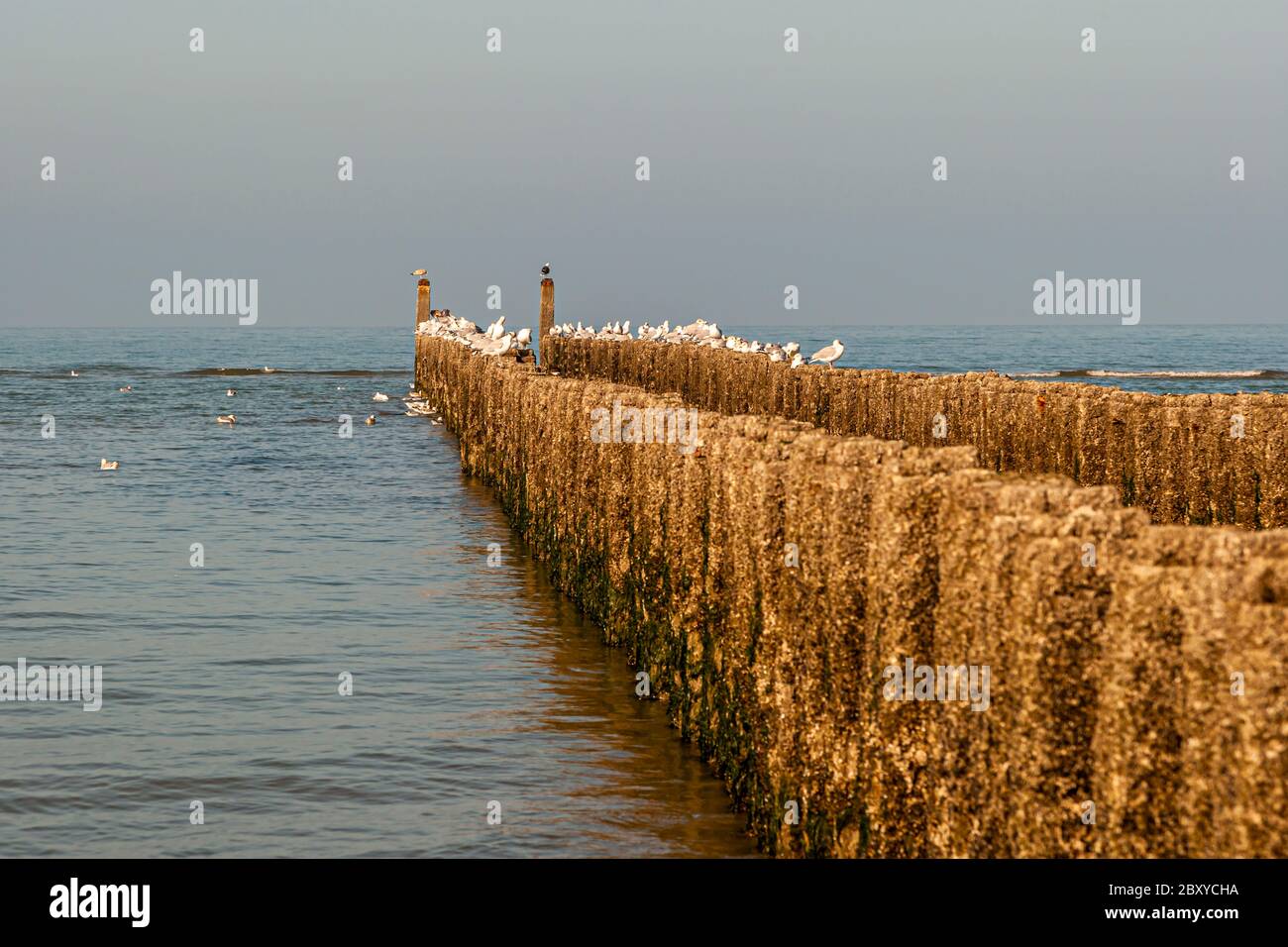 Breakewater Groyne in Veere-Oostkapelle, The Netherlands Stock Photo