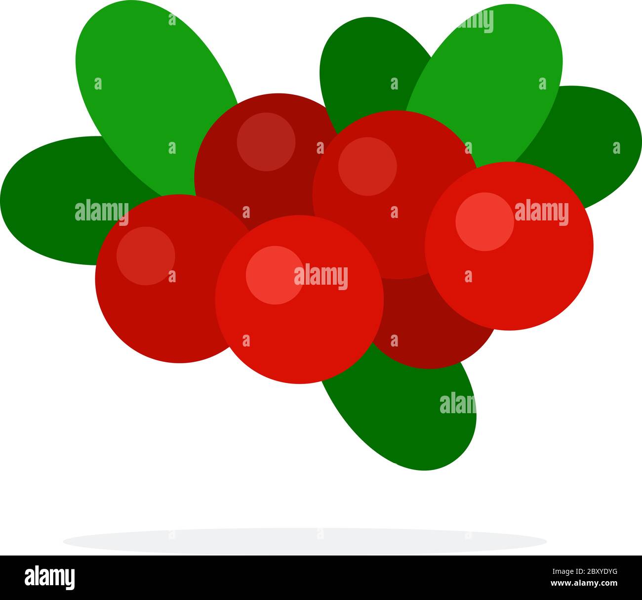 Cranberries with leaves Stock Vector Image & Art Alamy