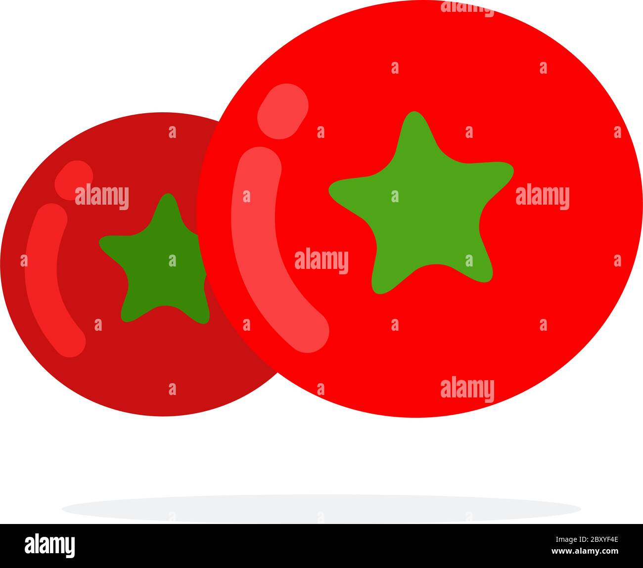 Big red tomato and small tomato Stock Vector Image & Art Alamy