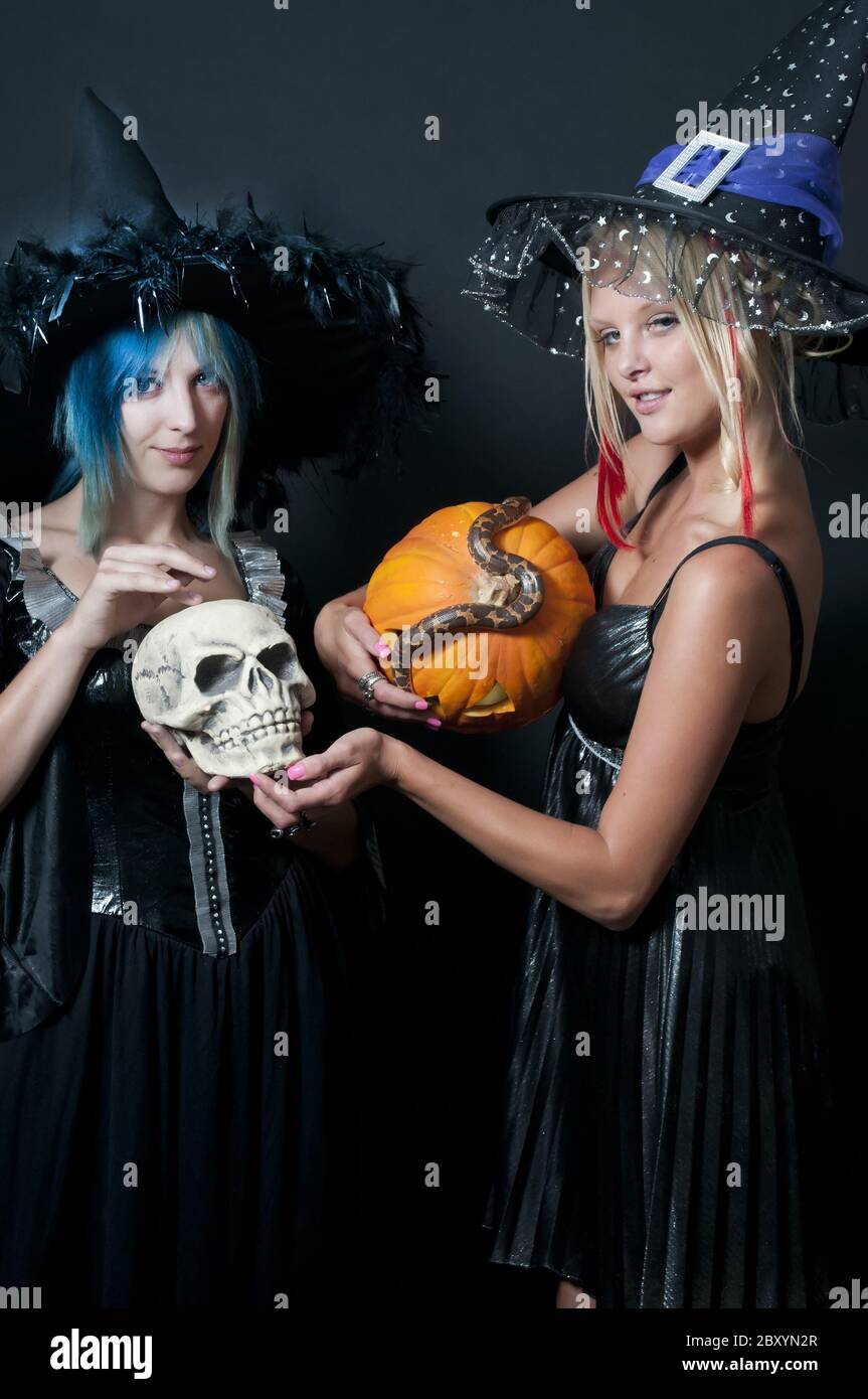 Witches with Snake and Skull Stock Photo