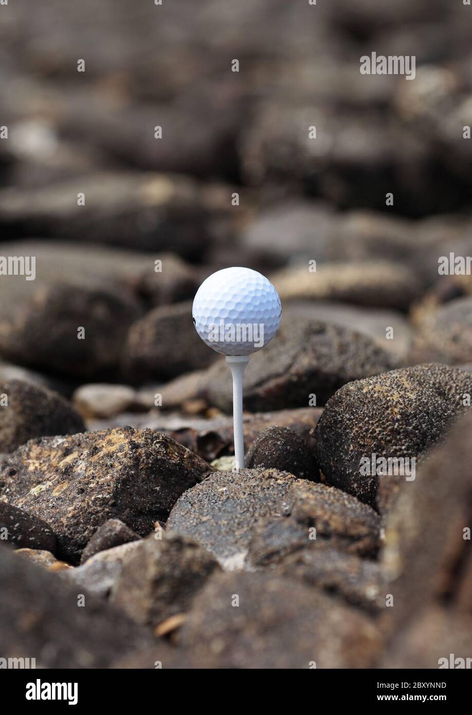 Golf ball on the rocks Stock Photo Alamy