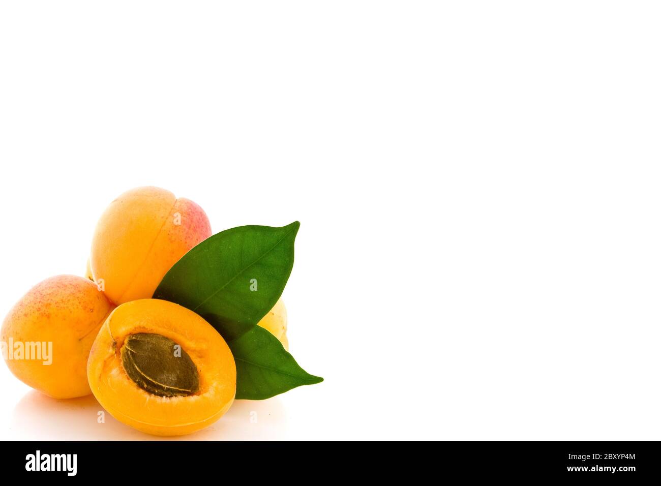 Apricot on white background Stock Photo - Alamy