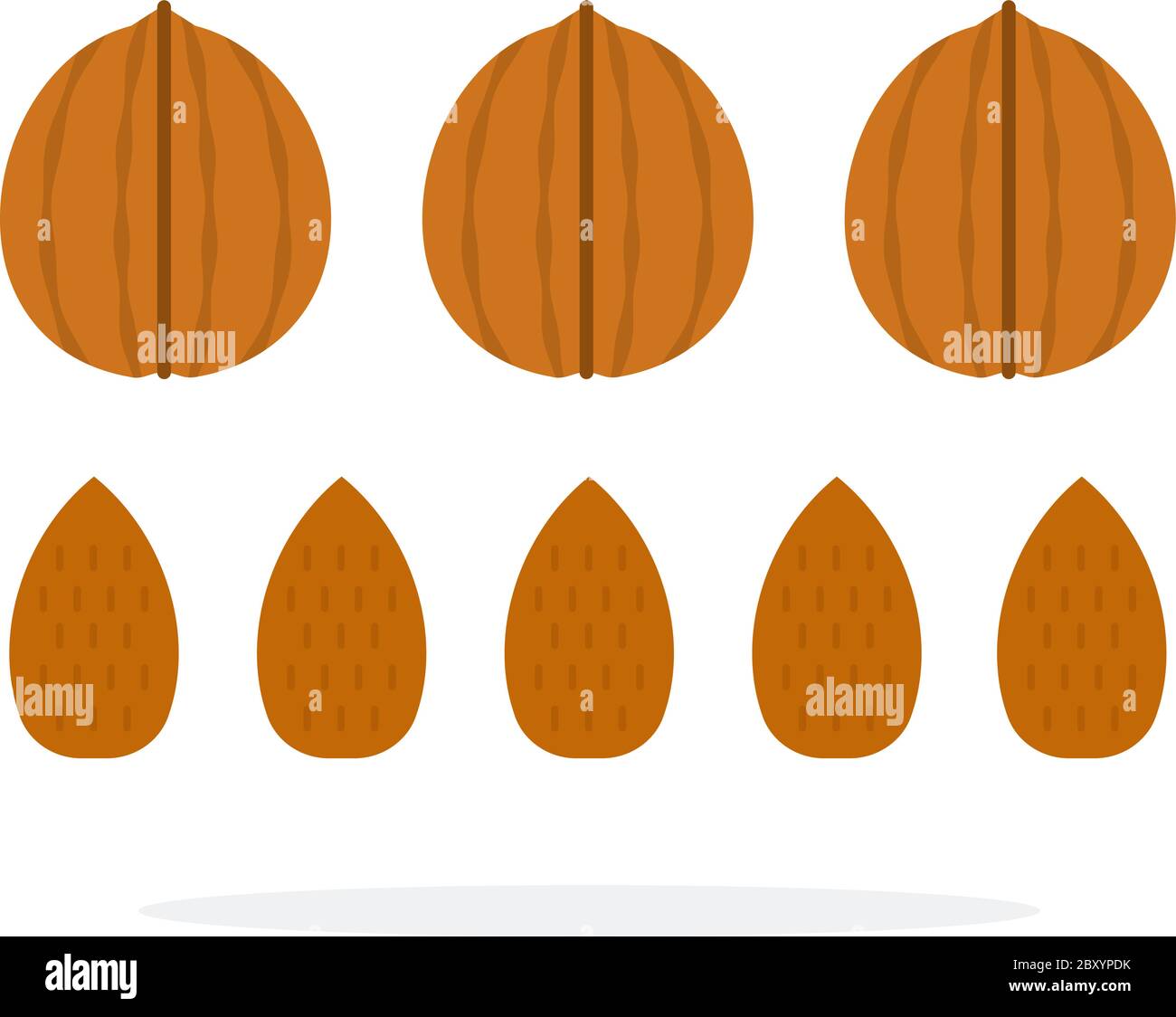 Walnuts and almonds in a shell and in a row flat isolated Stock Vector