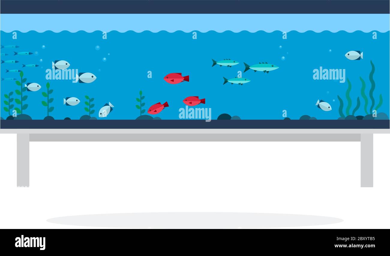 Aquarium with exotic fish flat isolated Stock Vector