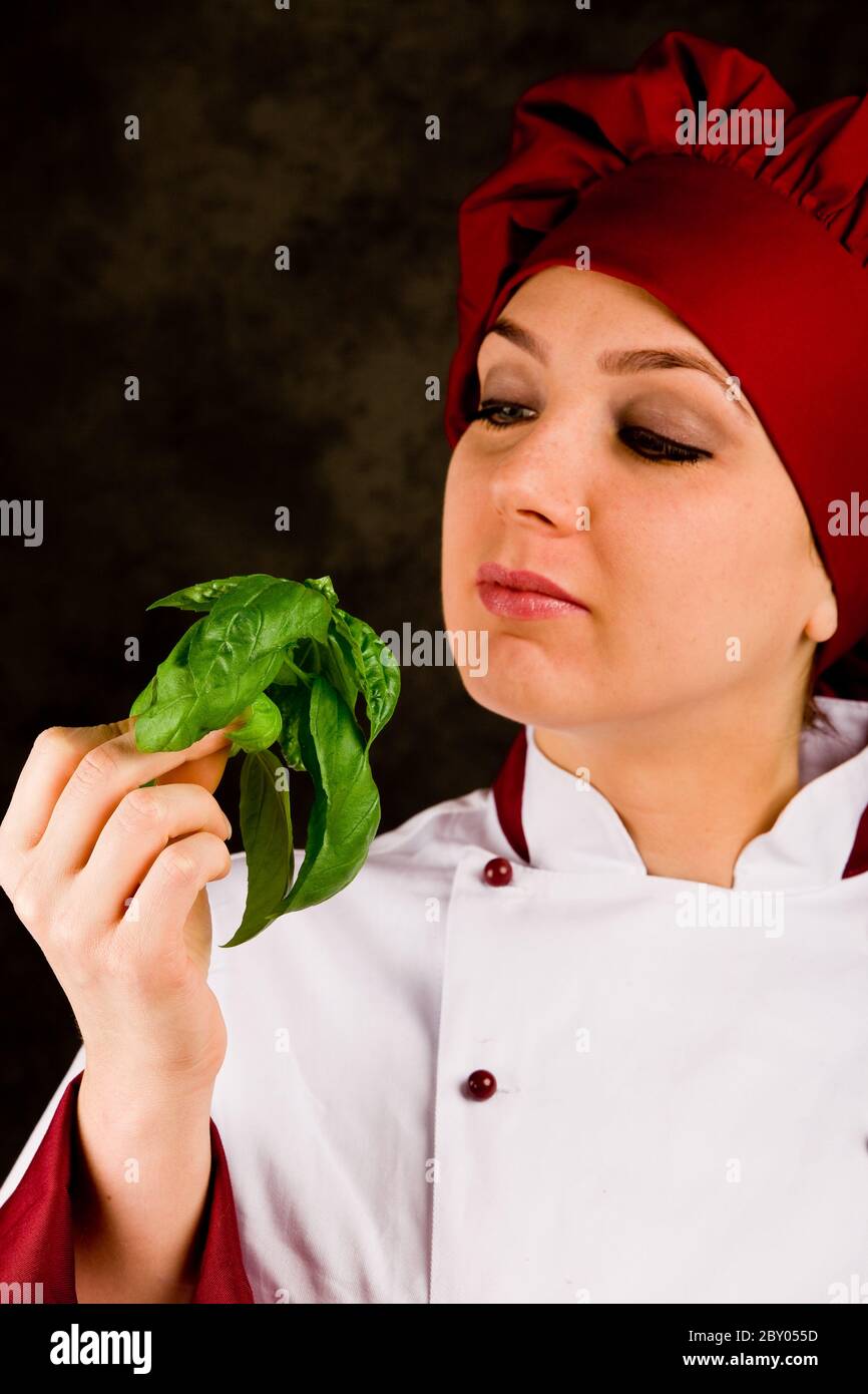 Chef is controlling basil quality Stock Photo