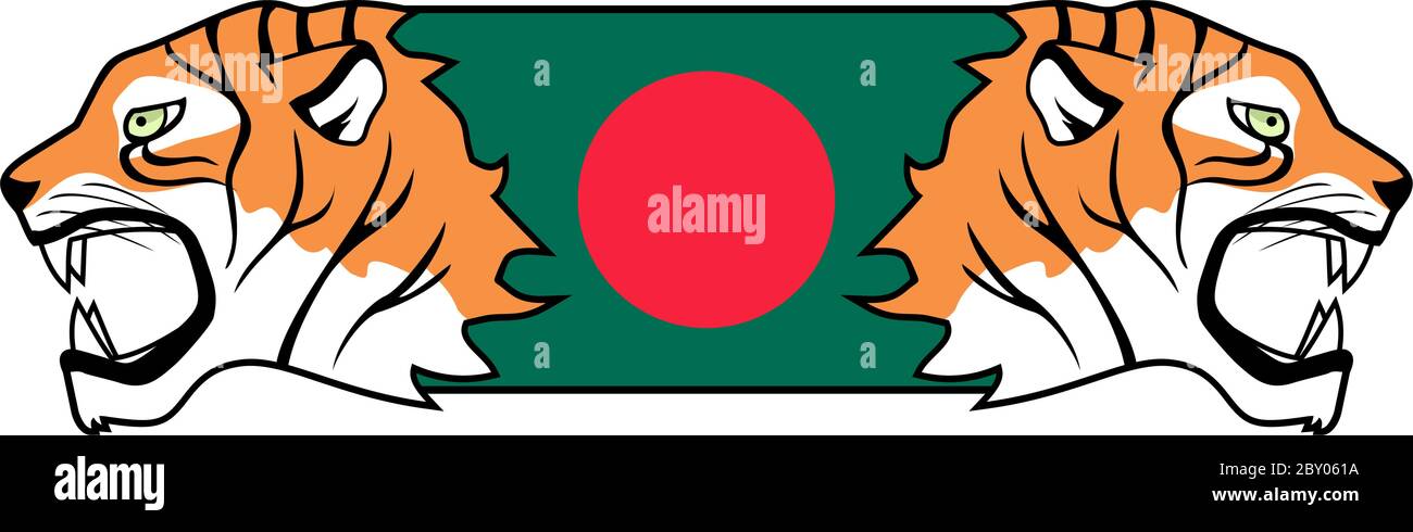 Tiger bangladesh Stock Vector