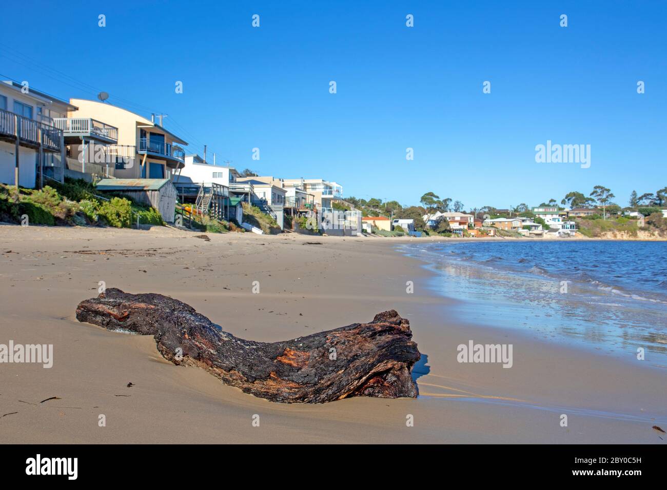 Opossum bay beach hires stock photography and images Alamy