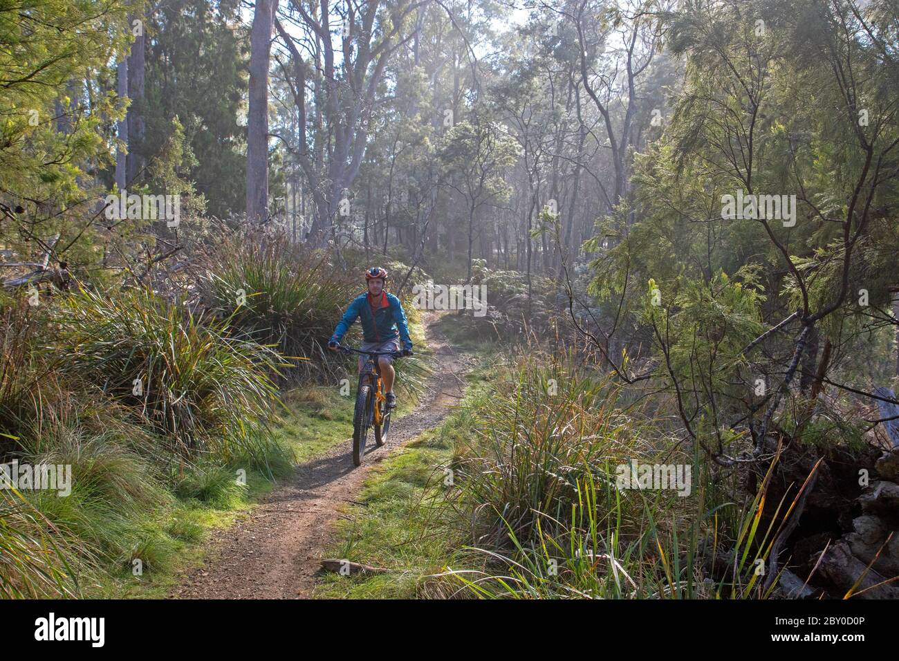 Mountain biking at Trevallyn Nature Recreation Area in Launceston Stock Photo