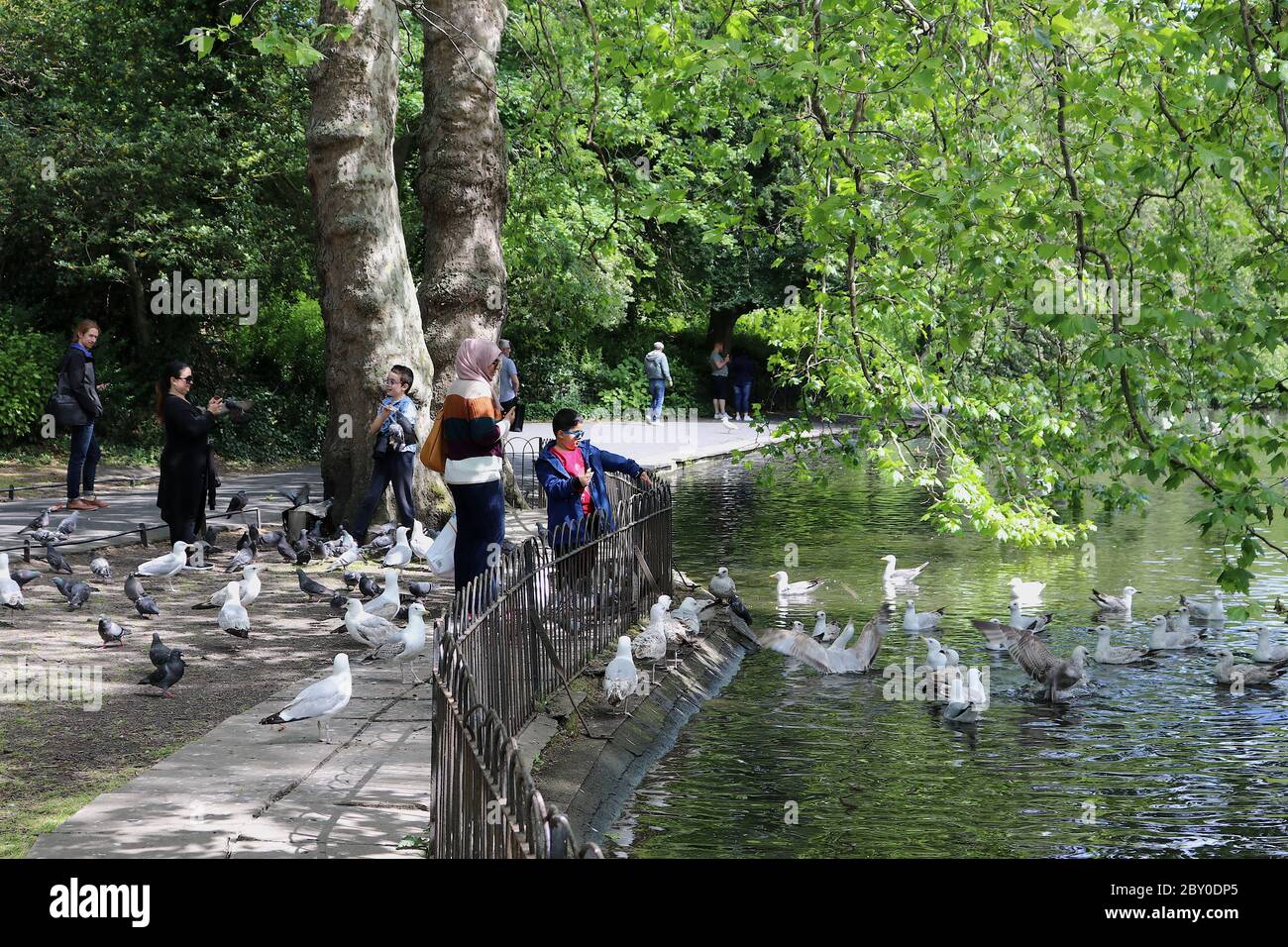 Dublin. 9th June, 2020. People enjoy outdoor life at a public park in Dublin, Ireland, June 8, 2020. More businesses and public amenities in Ireland reopened on Monday as the country entered the first day of what the government called Phase 2 in reopening society and business. Credit: Xinhua/Alamy Live News Stock Photo