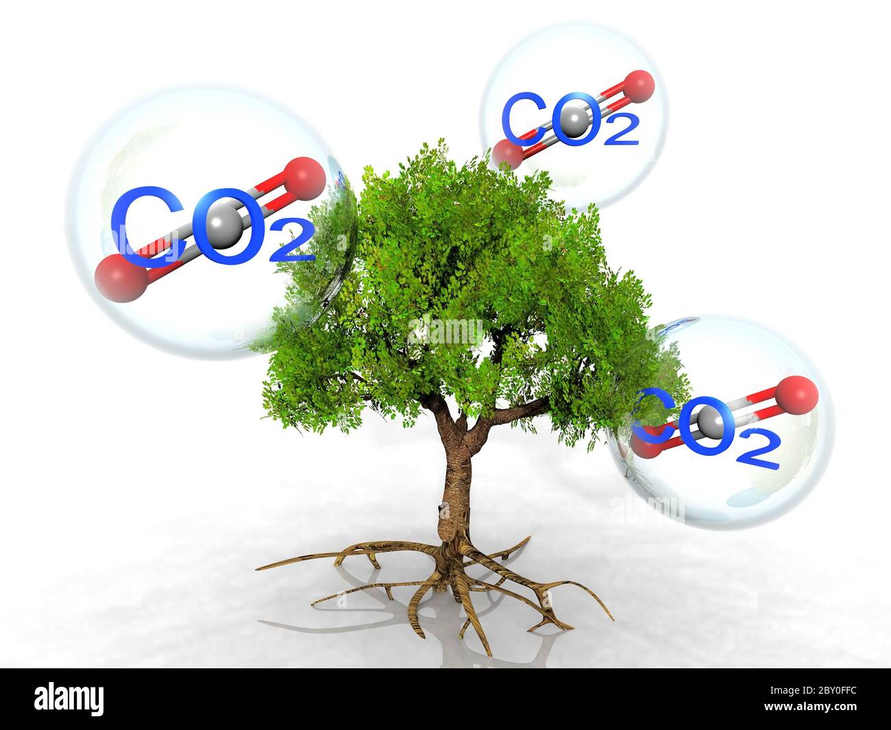 the tree and carbon dioxide Stock Photo Alamy
