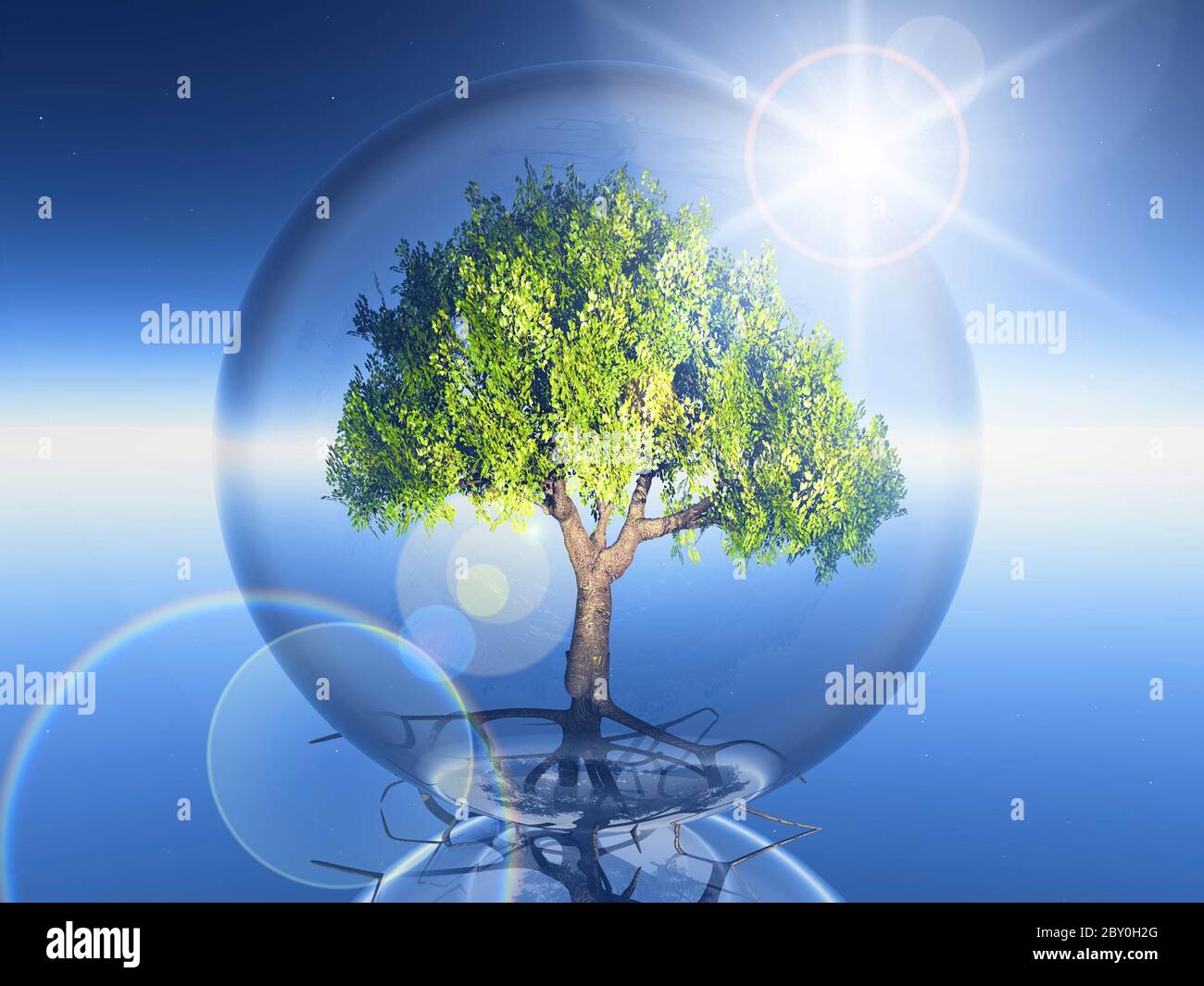 Bubble tree hires stock photography and images Alamy