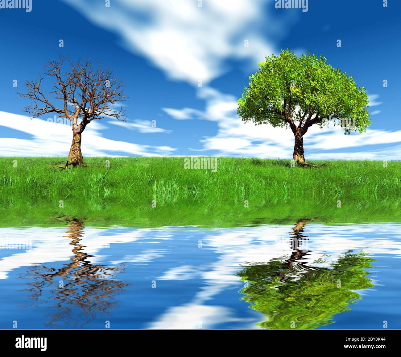 the tree in the field and lake Stock Photo - Alamy