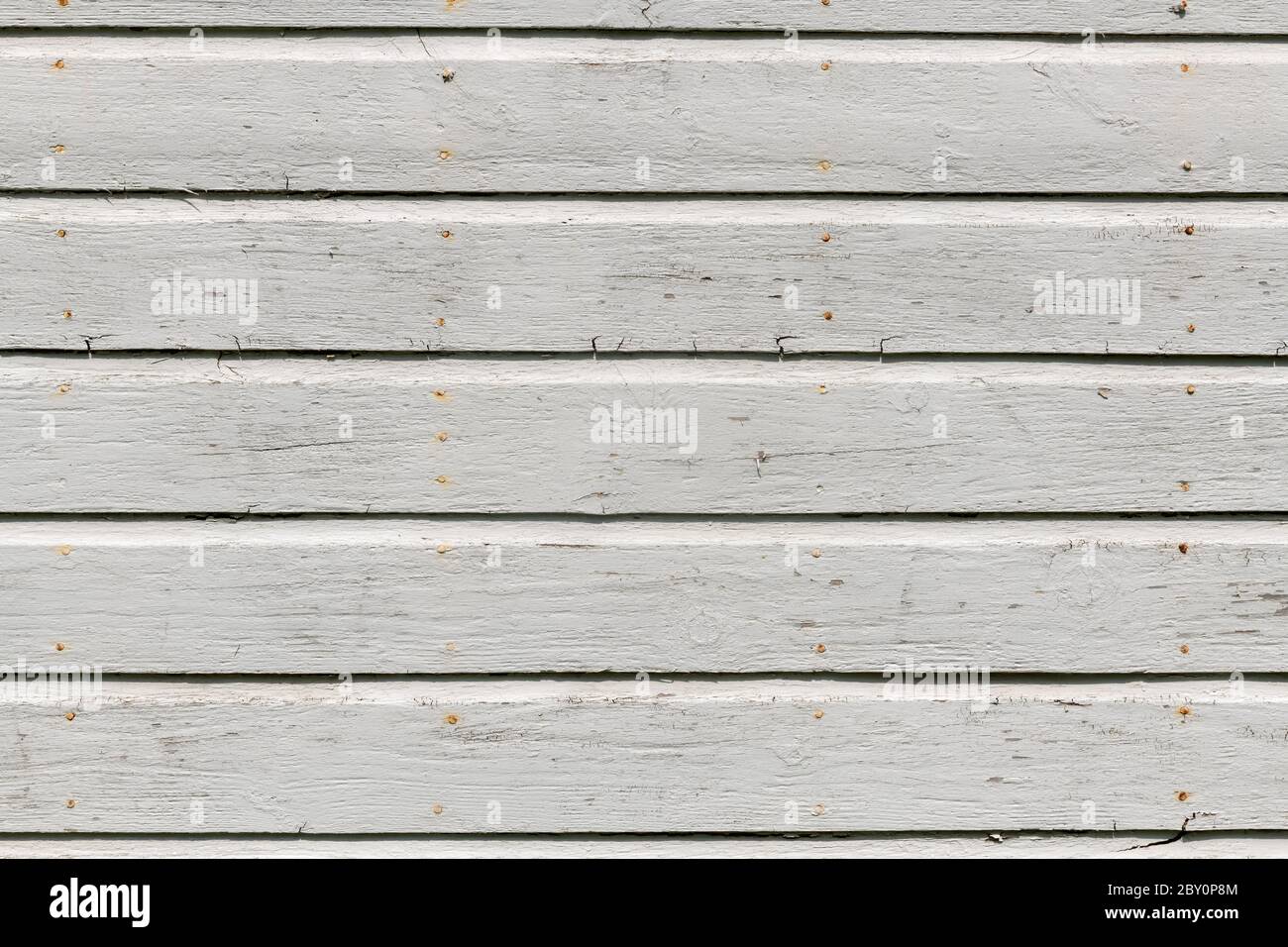 White wooden wall with rich texture, cracks, knots, and nails ...