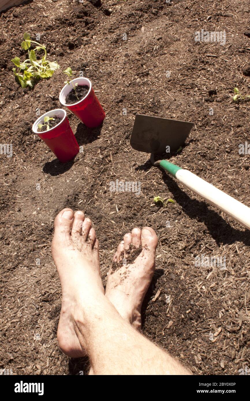 Gardening with feet in the dirt Stock Photo Alamy