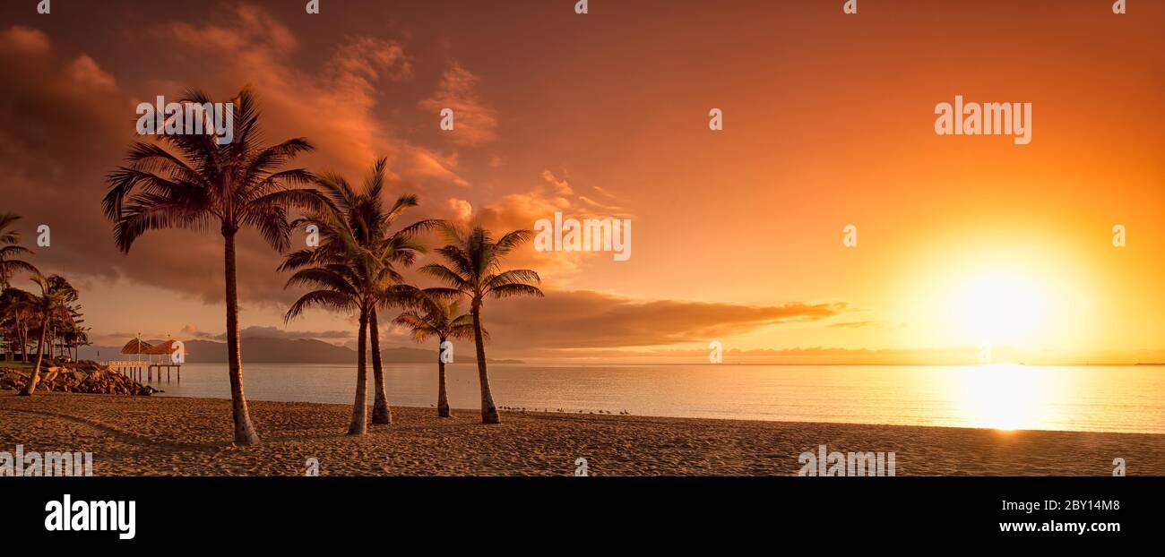 Golden hour panoramic sunrise featuring cluster of palm trees, the strand jetty open beach & Magnetic Island in Townsville, Queensland, Australia. Stock Photo