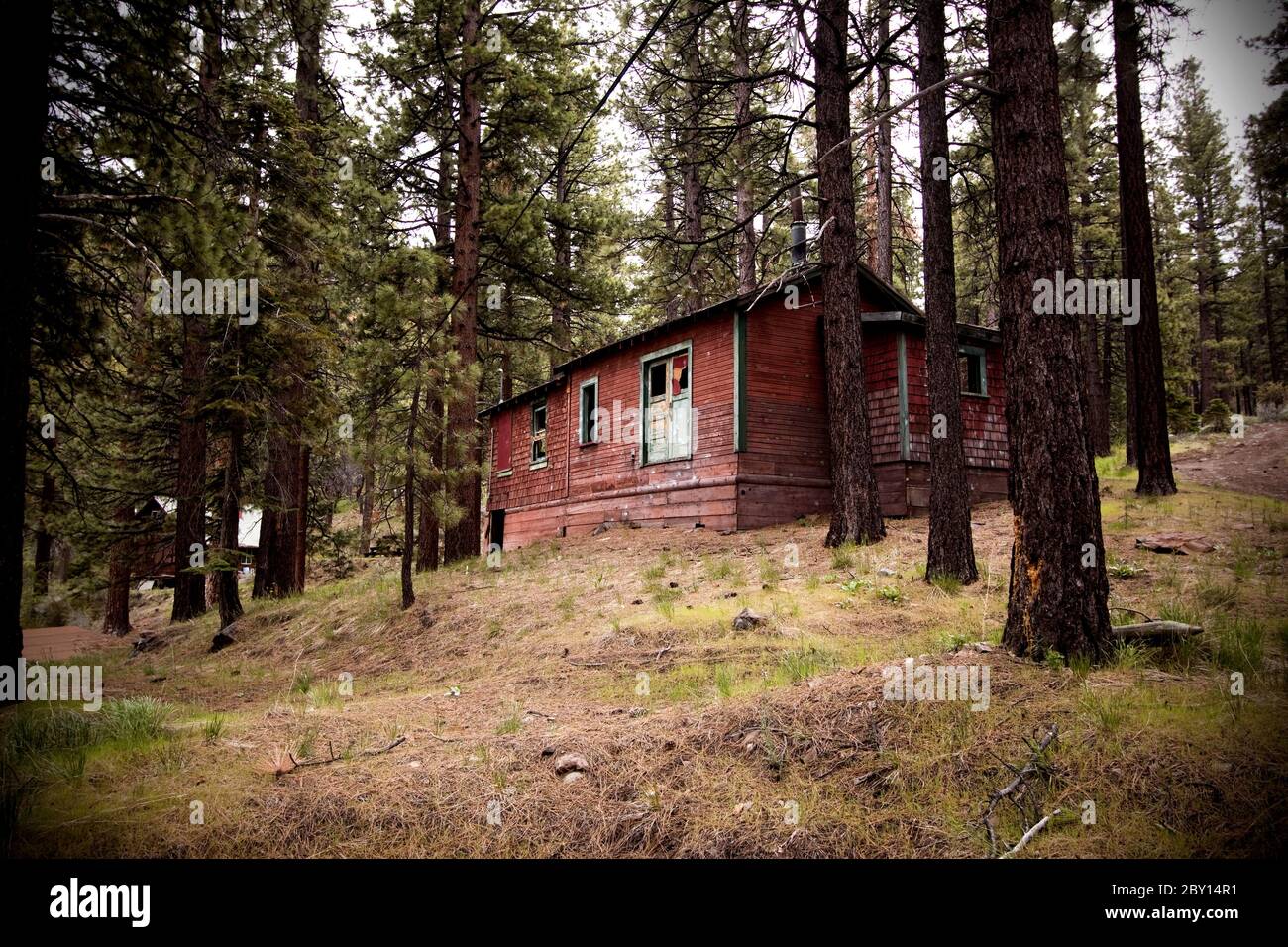 Old abandoned spooky cabin in forest Stock Photo