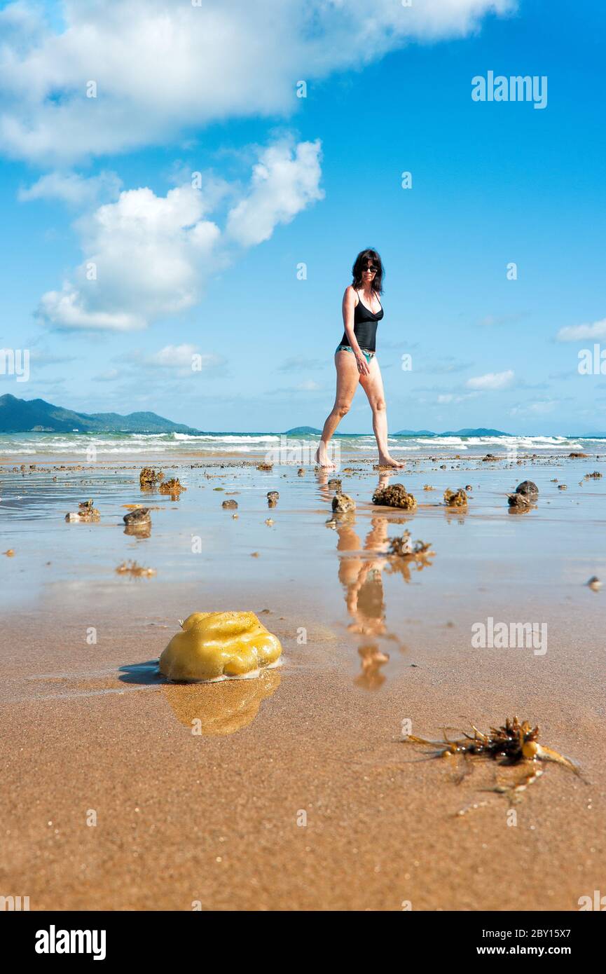 Low perspective scenic of foreground low tide shells and sponges, clear blue sky and female tourist in swimsuit walking Mission Beach in Queensland. Stock Photo